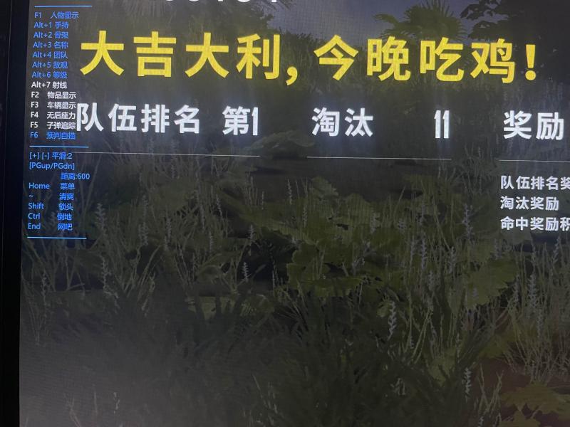 <font color='FF0000'>绝地求生棉花辅助</font>